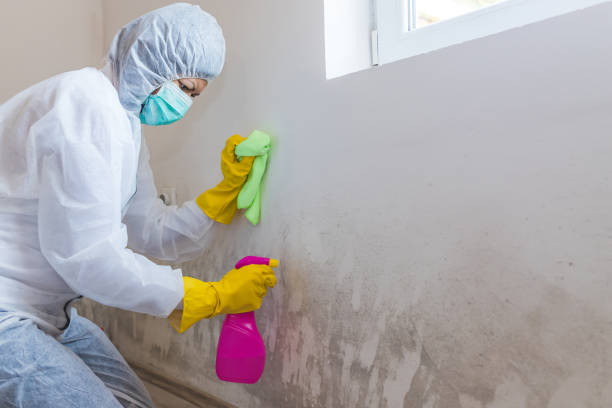 Mold Remediation for Rental Properties in Kingsville, TX